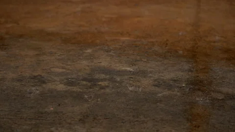 Rainy on ground of cement Stock Footage 162459576