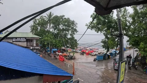 Rainy Harbor View from Restaurant Veranda, Havelock Island, Andaman Islands Stock Footage 339371658