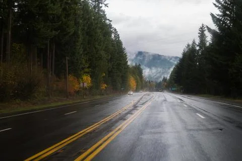 Rainy highway in the forest 스톡 사진