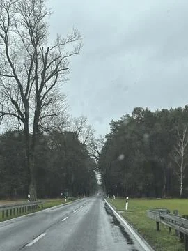 Rainy Highway Surrounded by Dense Forest Stock Photos