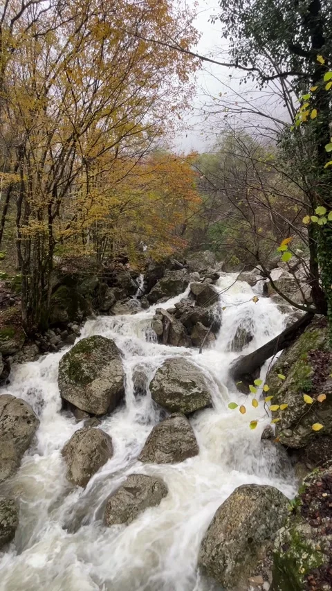 Rainy mountain landscape with river and waterfalls Stock Footage 335225995