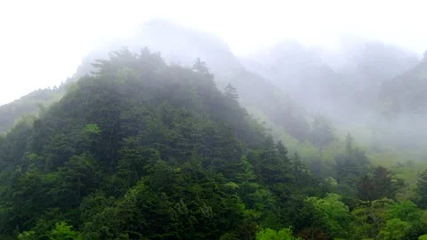 Rainy mountain scenery, misty Mt. 600 and Sanbon Yari, Kamikochi, early June Stock Footage 328335232