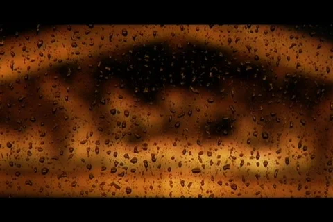 Rainy night at the Louvre Stock-Footage 110919