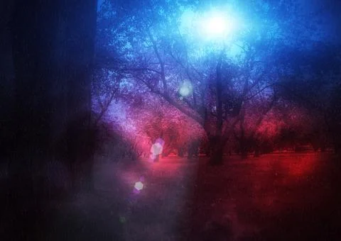 Rainy night orchard Stock Illustration