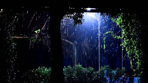 Rainy night in a park 스톡 동영상 234418421