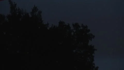Rainy night with tree silhouettes in forest Stock Footage 319871977
