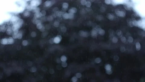 Rainy Night, twilight Stock Footage 169359727