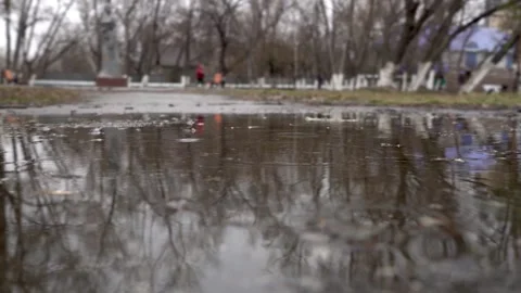 A rainy, overcast day. Raindrops fall on puddles of water Stock Footage 153313926