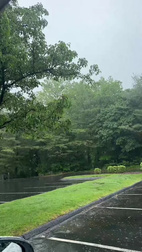 Rainy Parking Lot Through Car Window Stock-Footage 335651121