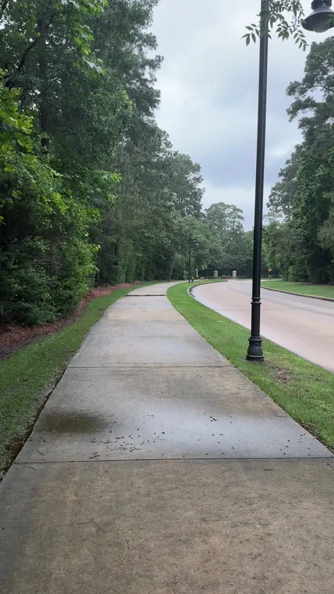 Rainy pathway through lush green park with lamp posts and overcast sky Stock Footage 315524753