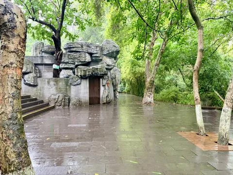 Rainy Pathway Through Lush Green Forest with Stone Structure Stock Photos
