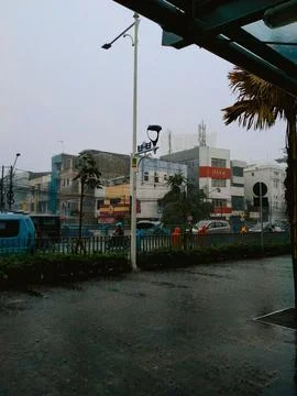 Rainy 写真素材