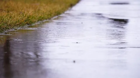 Rainy Puddle 2 스톡 동영상 86491241