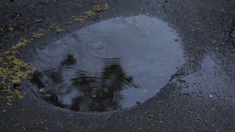 RAINY PUDDLE Video stock 194456175
