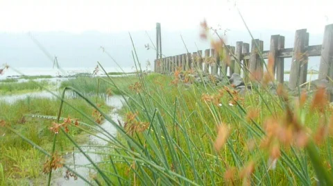 Rainy River Scenic Stock Footage 875457