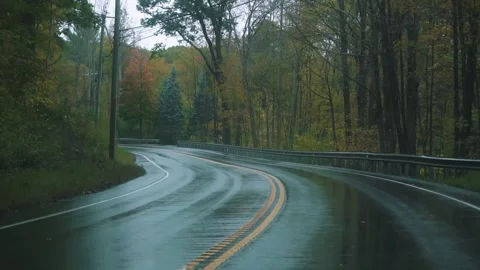 Rainy road in autumn Stock Footage 255626233