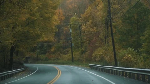 Rainy road in autumn Stock Footage 255626310