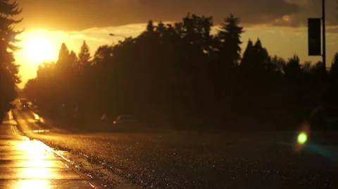 Rainy Road at Sunset Stock-Footage 40343485