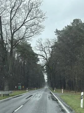 Rainy Road Through a Forest in Winter Stock Photos