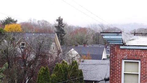 Rainy Rooftops 動画素材 99009284