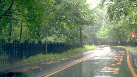 Rainy season 2 Stock Footage 200171830