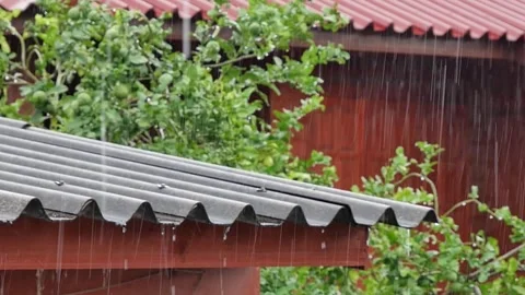 In the rainy season, clips of rain falling on trees and tiled roofs are natural. Stock Footage 252291634