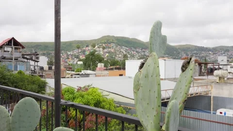 Rainy season cloudy clouds terrace view cactuses hills background travel Mexico Stock Footage 288291288