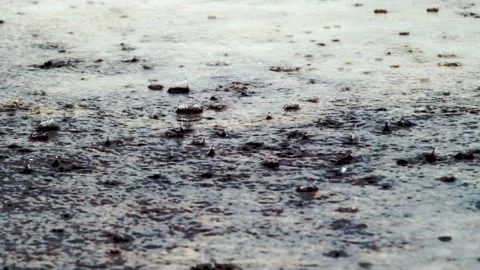 Rainy season Stock Footage 144329669