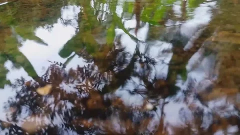 Rainy season Stock Footage 149157962