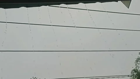 Rainy season Stock Footage 226143617