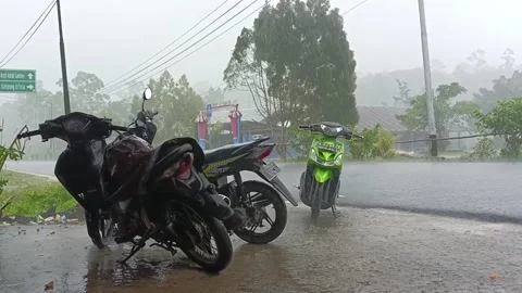 Rainy season Stock Footage 238918020