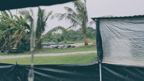 Rainy season Stock Footage 282067583