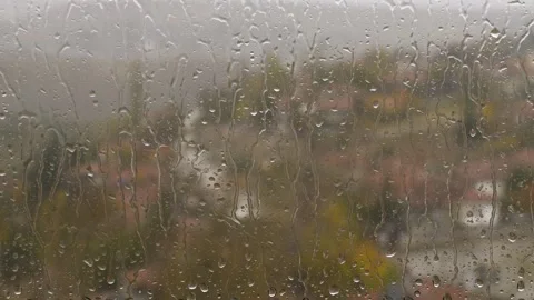 Rainy Season 스톡 동영상 332712786