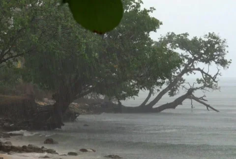 Rainy Shore 01 SD Stock Footage 649695