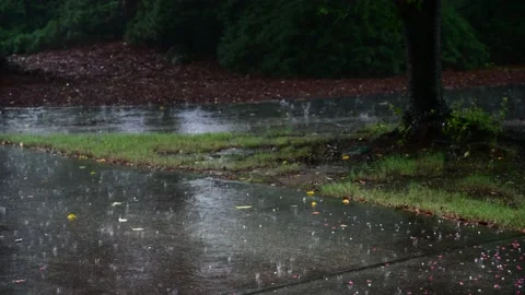 Rainy Sidewalk Stock Footage 201609439