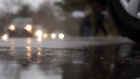 Rainy Spring Day In Toronto's High Park Stock Footage 76400721