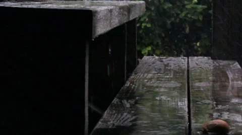 Rainy Stairs Video stock 8661671