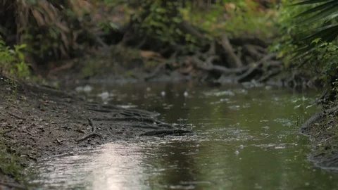 Rainy Stream Stock Footage 90439937
