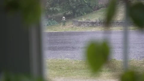 Rainy street through window Stock Footage 243398965