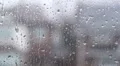Rainy suburban window. HD Footage