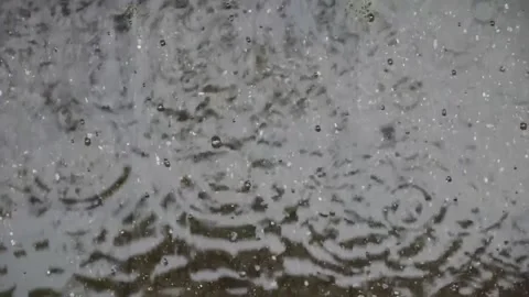 Rainy summer day in town Stock Footage 245157000
