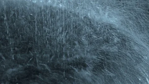 Rainy Summer Weather Stock-Footage 81483070