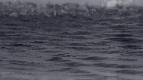 Rainy Summer Weather Stock Footage 81484142