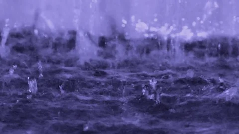 Rainy Summer Weather Stock-Footage 81484230