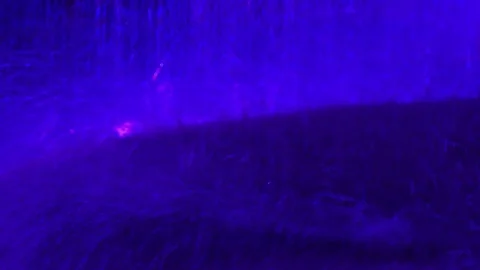 Rainy Summer Weather Stock-Footage 81484707