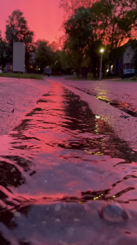 Rainy Sunset with Water Stock-Footage 256338809