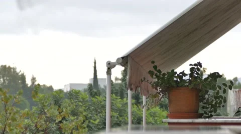 Rainy time lapse  flower pot Video stock 57454840