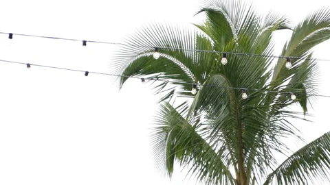 A Rainy Toast Stock Footage 105229916