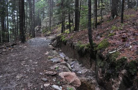 Rainy Trail Stock Photos