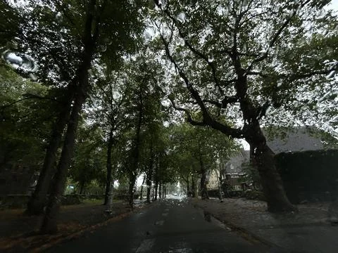 Rainy tree lined street seen through wet windshield with raindrops, dark road Stock Photos